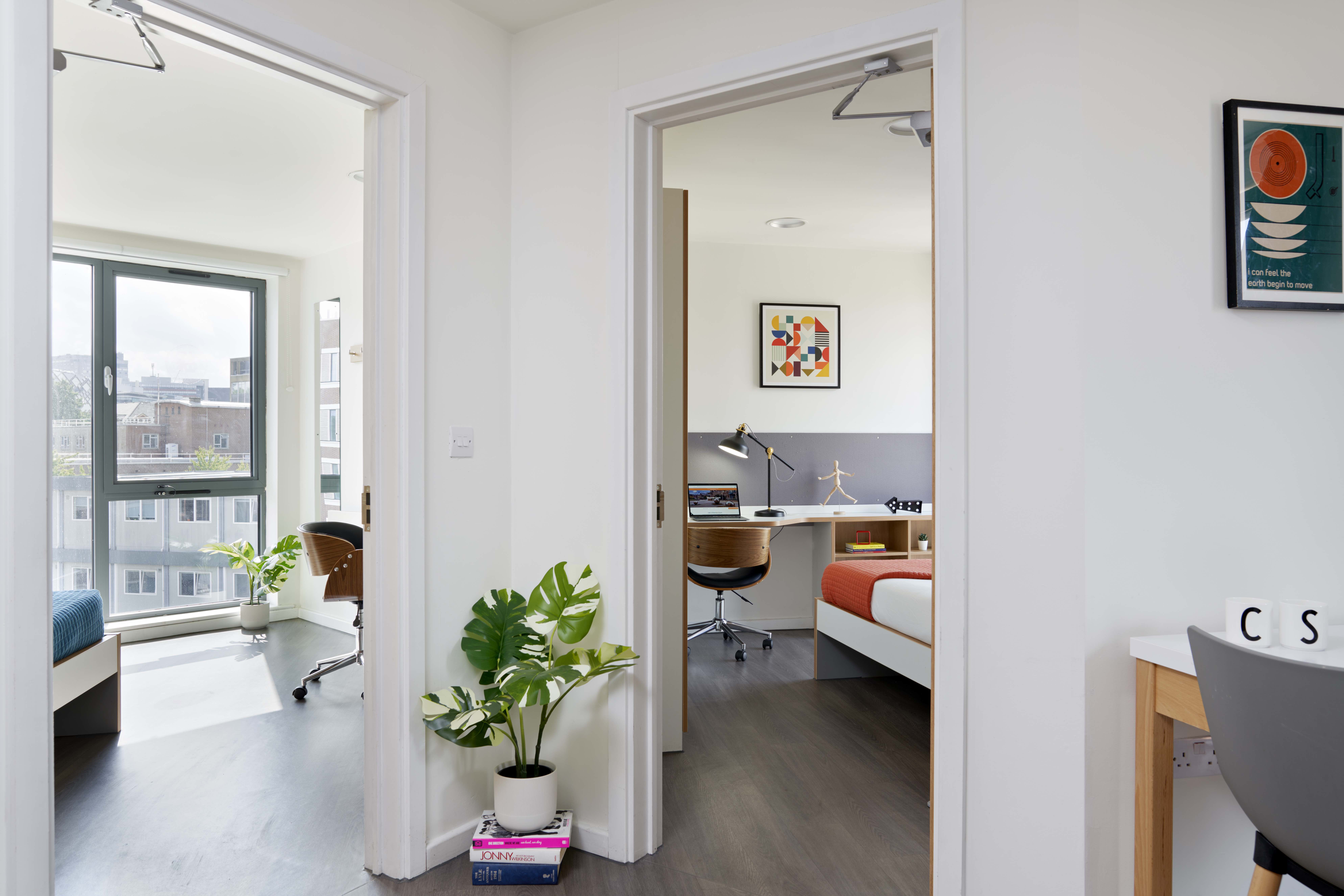 Sheffield student accommodation apartment shared area